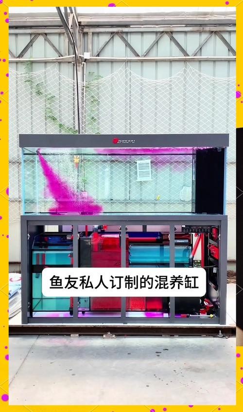 龍魚濾材是一種好還是組合好呢