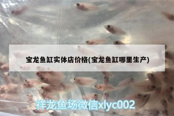 寶龍魚缸實體店有賣嗎，
