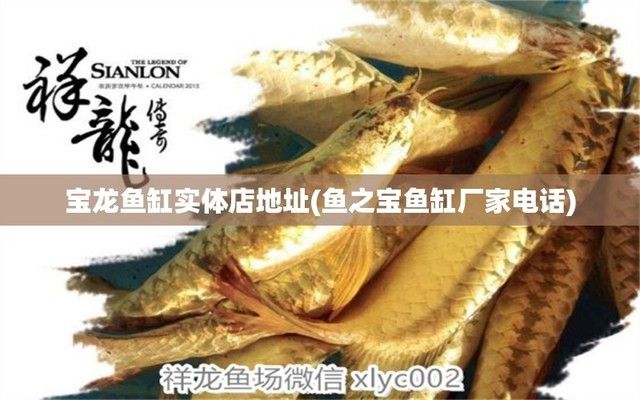 寶龍魚缸實體店有賣嗎，