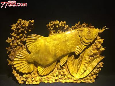 黃金龍魚價格258萬元一克多少錢：258萬元一克的黃金龍魚價格遠超普通金龍魚的價格范圍