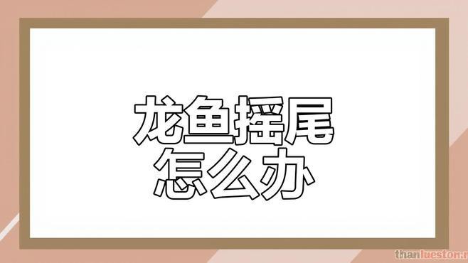如何識(shí)別銀龍魚(yú)的情緒化行為？ 如何識(shí)別銀龍魚(yú)的情緒化行為？ 龍魚(yú)百科 第2張