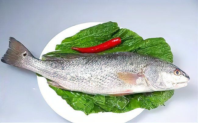美國大眼紅斑魚圖片