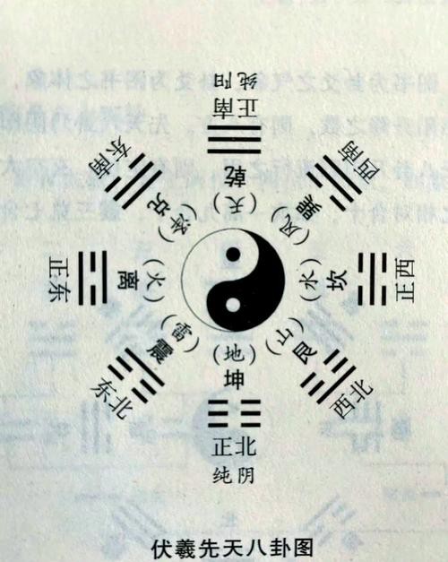 有哪些著名的龍魚風水小說推薦？