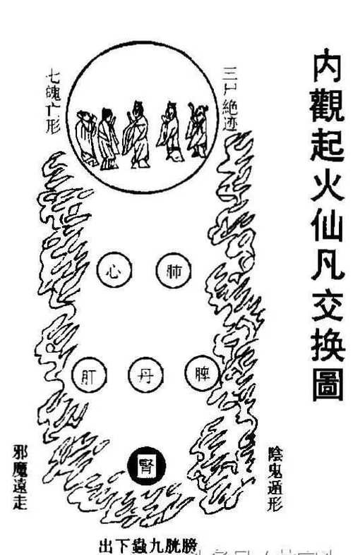 有哪些著名的龍魚風水小說推薦？