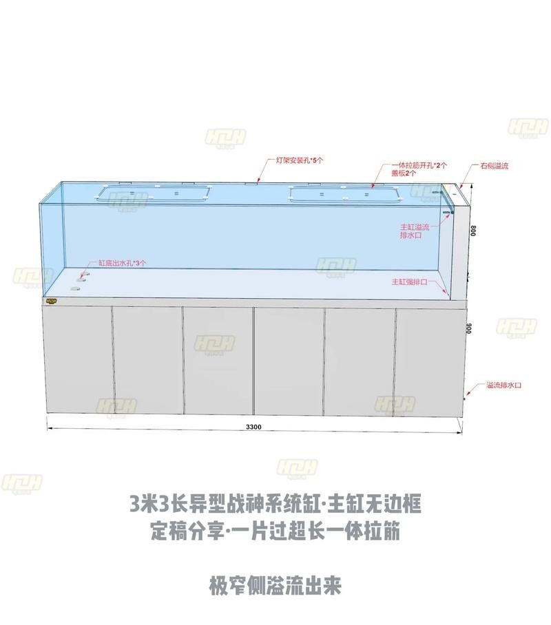 銀龍魚缸多大合適養