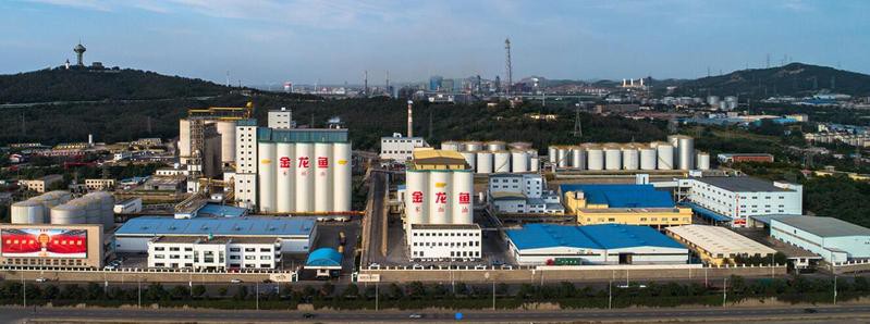 金龍魚觀賞魚市場在哪個平臺比較活躍？