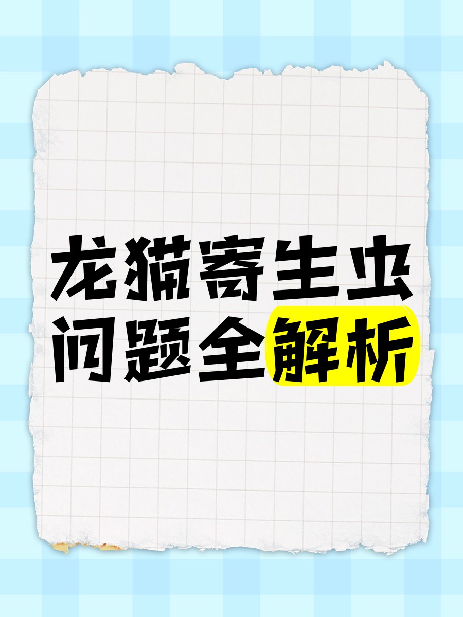 哪些因素會導致龍貓感染細菌？