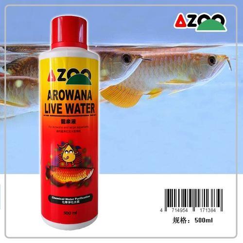 龍魚專用藥什么品牌好