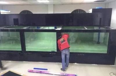 養龍魚用背濾魚缸可以嗎（養龍魚使用背濾魚缸可行嗎？）