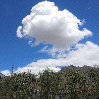 金龍汽車重組成功公告