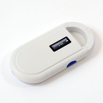 馬來西亞和新加坡龍魚哪個好養：馬來西亞和新加坡哪個更好養？