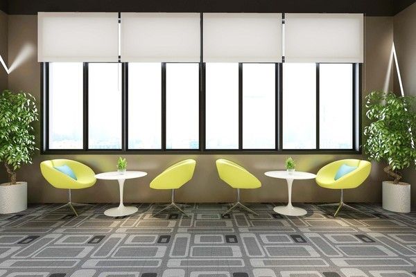 養龍魚有講究嗎為什么不會死：養龍魚不會死的原因是掌握了這些講究