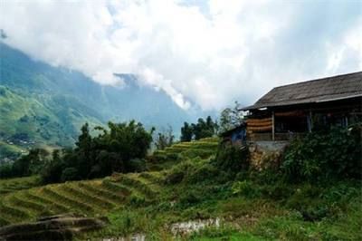 金龍魚畫掛家里什么位置好：金龍魚畫掛家什么位置好金龍魚畫掛家什么位置好