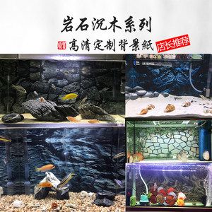 紅龍魚缸背景圖選擇哪種（關于紅龍魚缸背景圖選擇的建議）