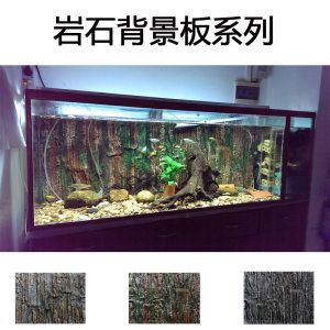 紅龍魚缸背景圖選擇哪種（關于紅龍魚缸背景圖選擇的建議）