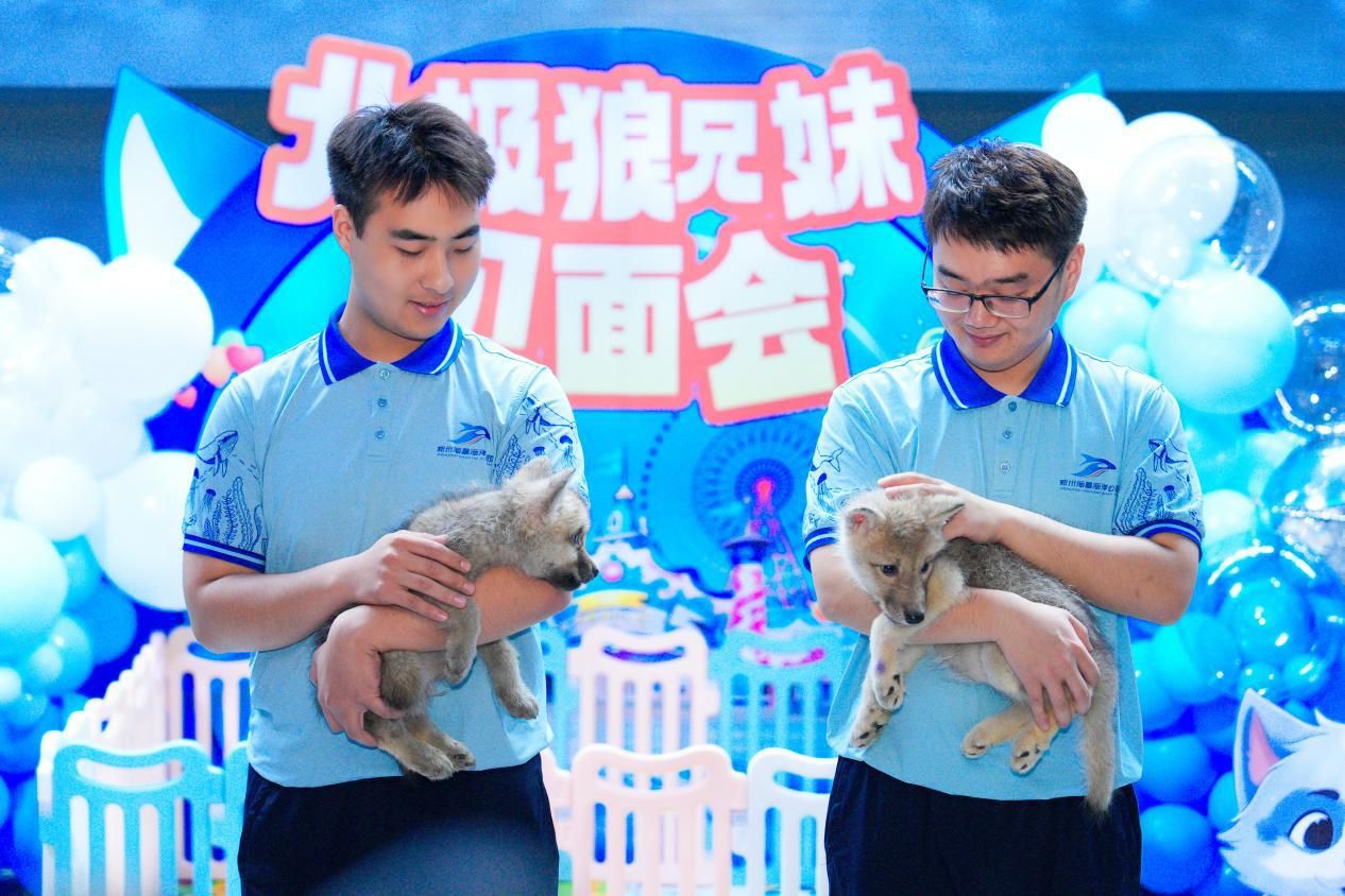 夏季龍鳳鯉防暑措施：夏季龍鳳鯉防暑措施有效提高龍鳳鯉養(yǎng)殖效率和產(chǎn)量