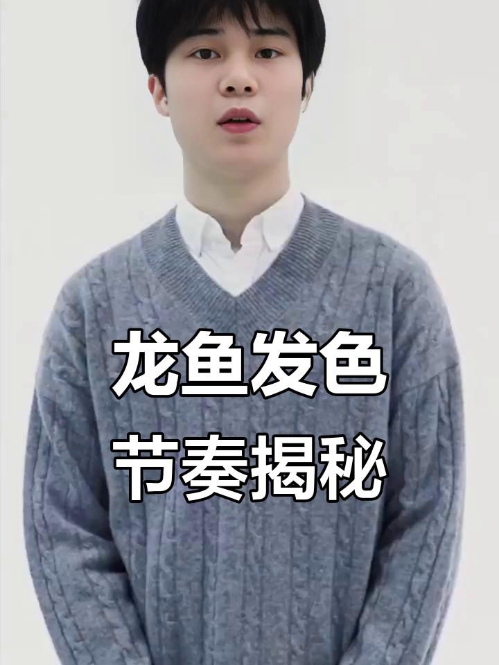 辣椒紅龍魚發色需要多長時間