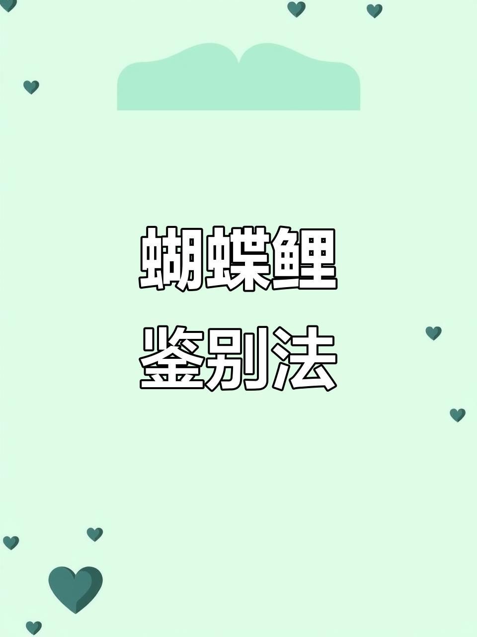 錦鯉怎么分辨公母