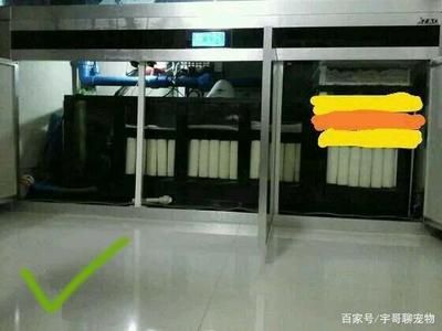 龍魚缸細菌屋可以用幾年：“龍魚缸細菌屋可以用幾年”的直接答案是用來培養(yǎng)的