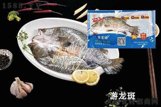龍斑魚是淡水魚還是海魚