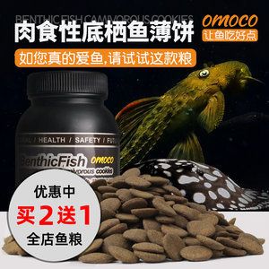 紅龍魚訓練吃顆粒【如何讓紅龍魚吃顆粒飼料】