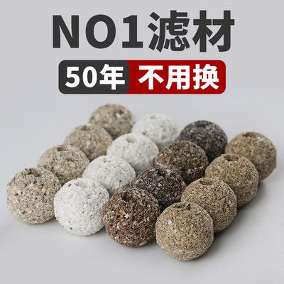 養(yǎng)龍魚(yú)需要哪些濾材和材料：養(yǎng)龍魚(yú)時(shí)選擇濾材和材料是非常重要的，它們可以幫助維持水質(zhì)的穩(wěn)定