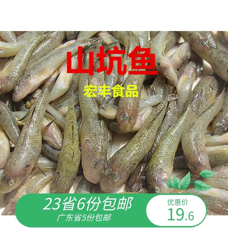 龍魚產品有幾種類型的（龍魚產品主要指的是以龍魚為原材料制作的各種商品）