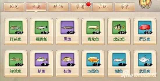 青龍魚水質管理技巧：青龍魚水質管理技巧：青龍魚水質管理技巧