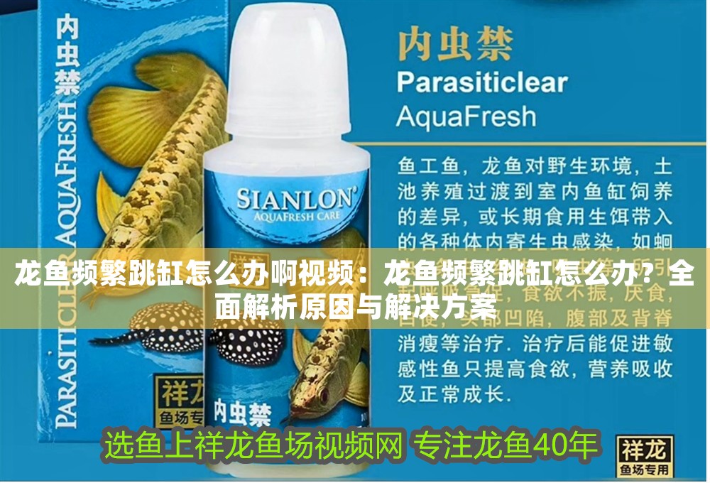 龍魚頻繁跳缸怎么辦啊視頻：龍魚頻繁跳缸怎么辦？全面解析原因與解決方案