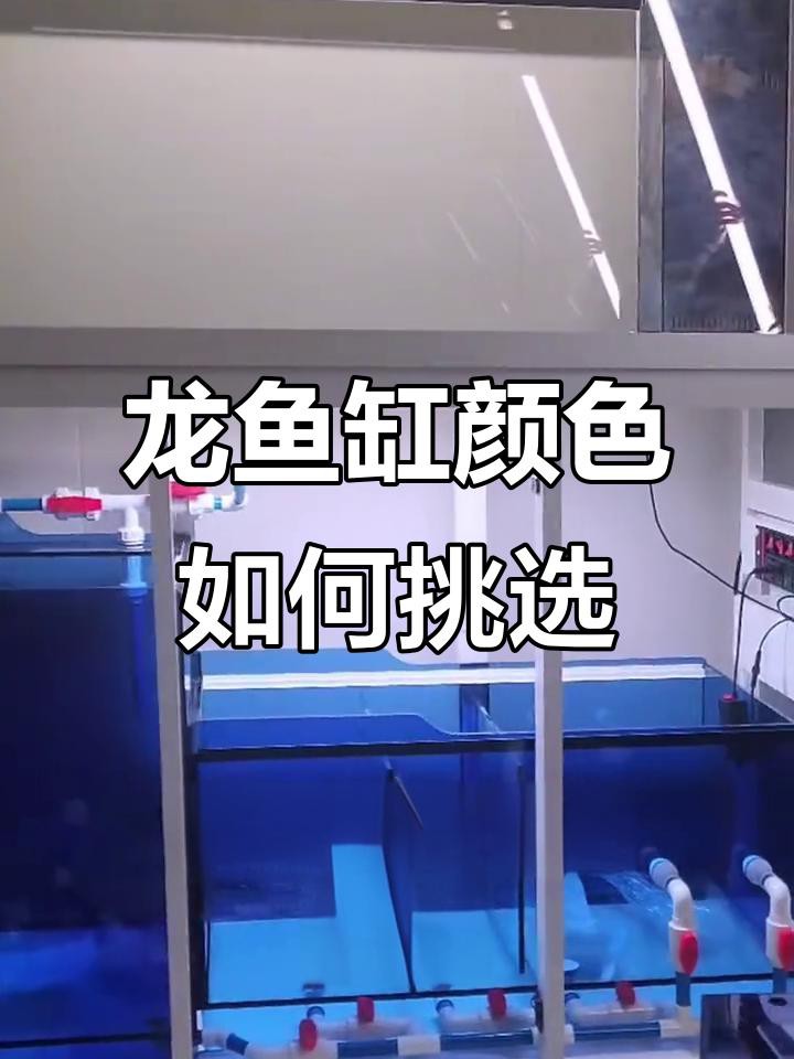 有哪些材質適<strong><mark>合作</mark></strong>為龍魚缸底色？