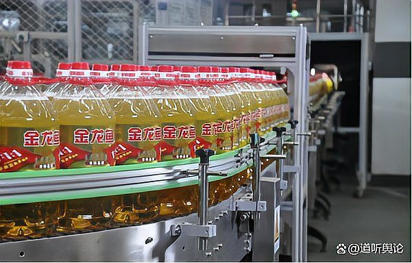 金龍魚新疆棉花籽榨油廠