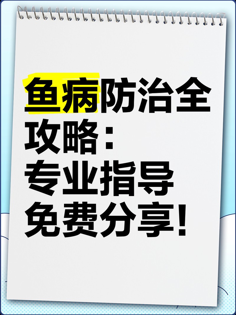 如何判斷龍魚鰭爛是否嚴重？