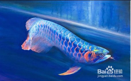 龍魚缸測水質：使用龍魚缸測量水質的方法并介紹了相關設備及步驟