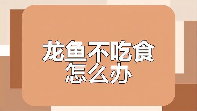 龍魚厭食了怎么辦？