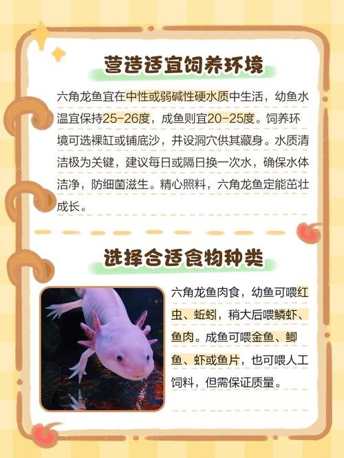 龍魚厭食了怎么辦？