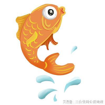 魚缸一般幾條魚最旺