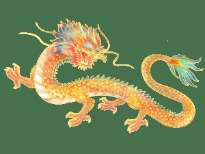金龍的圖片