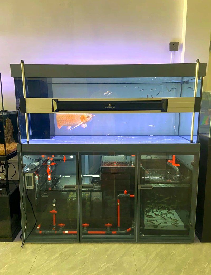 龍魚閣魚缸是品牌嗎