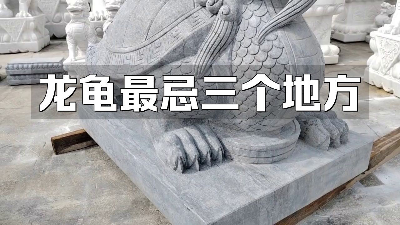 龍龜的擺放有哪些禁忌？