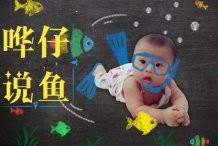 錦鯉和龍魚哪個更好養？