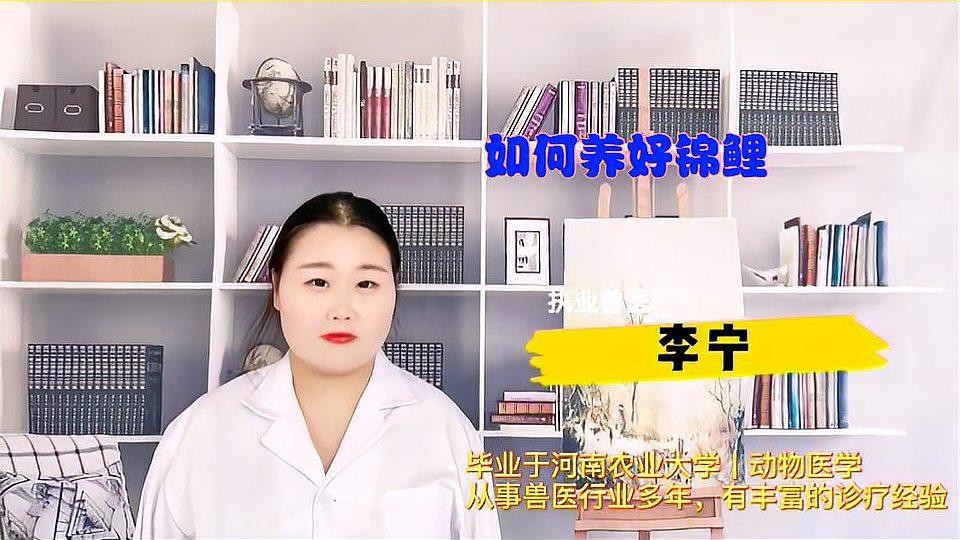 錦鯉和龍魚哪個更好養？