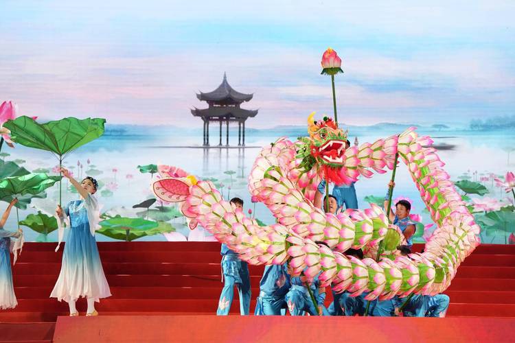 金龍魚群的圖片