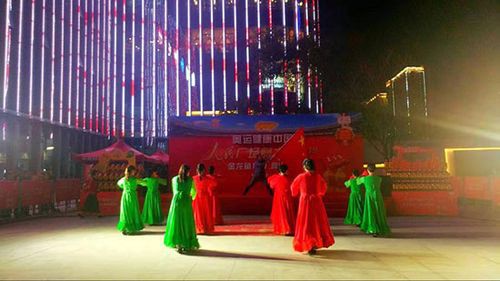 金龍魚群的圖片