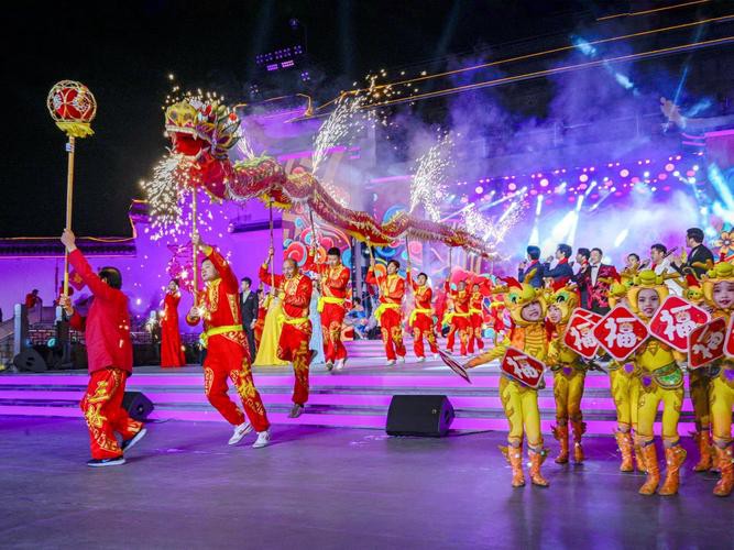 金龍魚群的圖片