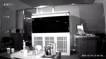 金龍魚喂草金好不好：如何安全處理草金魚，金龍魚健康飲食指南