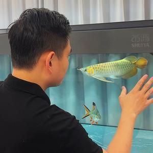 萬龍魚（萬龍魚并不是一個常見的科學分類名稱）