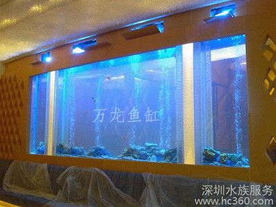 萬龍魚（萬龍魚并不是一個常見的科學分類名稱）