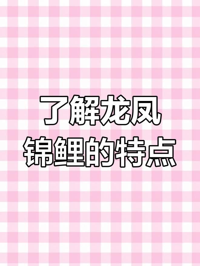 龍鳳鯉魚是什么魚