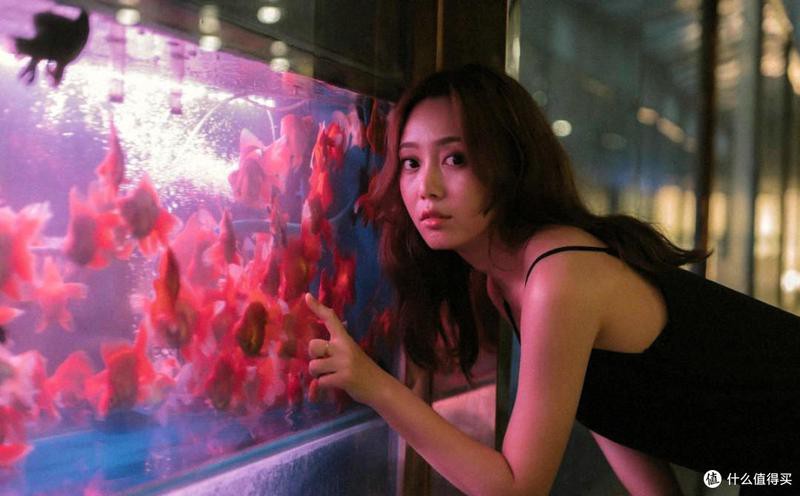 紅龍魚飼料如何保存