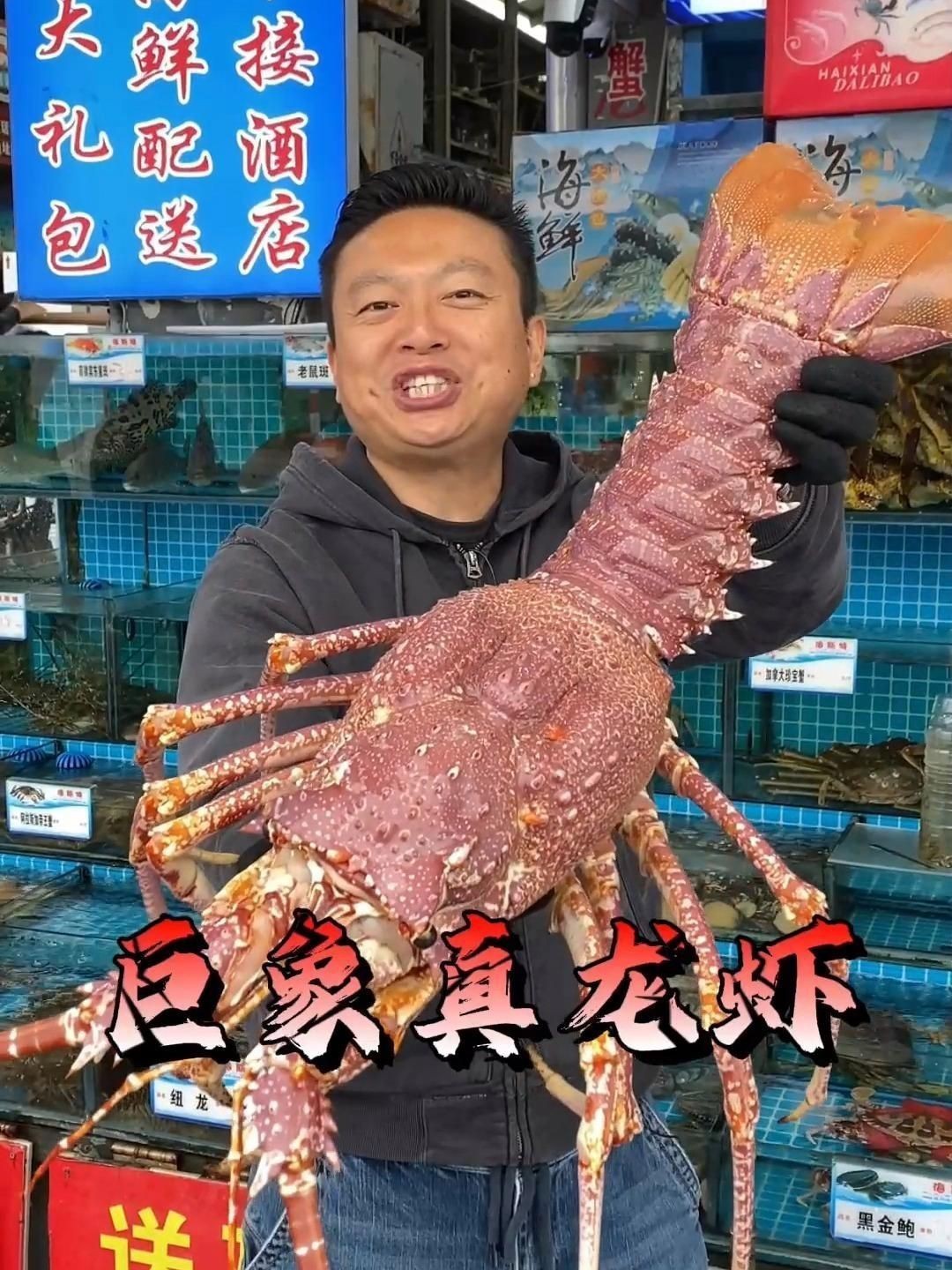 巨型龍蝦 龍魚百科 第3張 巨型龍蝦 巨型龍蝦 龍魚百科 第3張